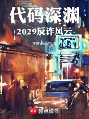 代码深渊：2029反诈风云在线阅读