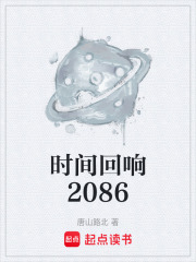 时间回响2086在线阅读