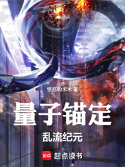 量子锚定：乱流纪元在线阅读