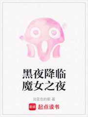 黑夜降临魔女之夜在线阅读