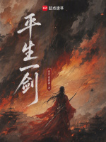 平生一剑封面