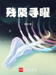 残陨寻曜在线阅读