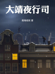 大靖夜行司在线阅读