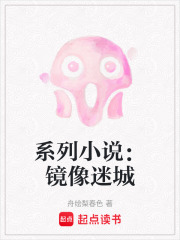 系列小说：镜像迷城在线阅读