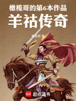 羊祜传奇封面