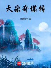 大宋奇谋传在线阅读