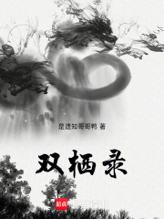双栖录在线阅读
