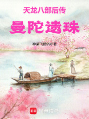 天龙八部后传：曼陀遗珠在线阅读