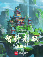 智计无双北宋卷在线阅读