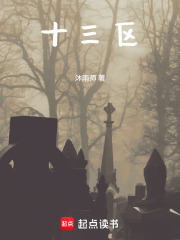 十三区在线阅读