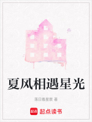 夏风相遇星光在线阅读