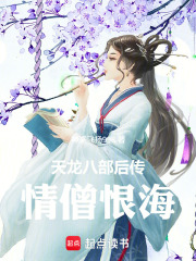 天龙八部后传：情僧恨海在线阅读