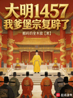 大明1457，我爹堡宗复辟了在线阅读