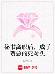 秘书离职后，成了贺总的死对头在线阅读