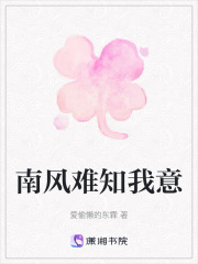 南风难知我意在线阅读