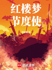 红楼梦节度使