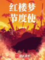 红楼梦节度使在线阅读