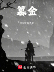 篡金在线阅读