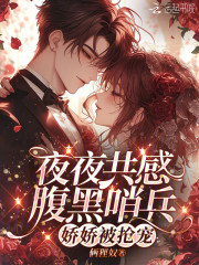 夜夜共感腹黑哨兵，娇娇被抢宠在线阅读