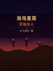 瀚海星霜：西陲血火在线阅读