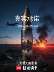 真实承诺在线阅读