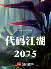 代码江湖：2075在线阅读