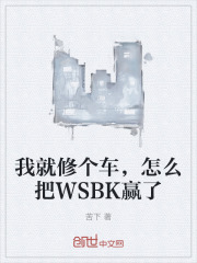 我就修个车，怎么把WSBK赢了