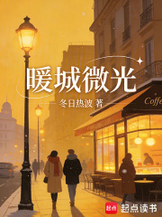 暖城微光在线阅读