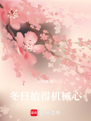 冬日拾得机械心在线阅读