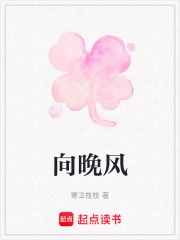 向晚风在线阅读