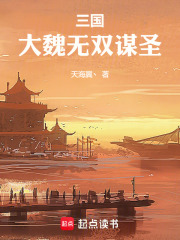 三国：大魏无双谋圣在线阅读