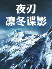 夜刃凛冬谍影在线阅读
