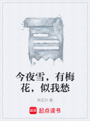 今夜雪，有梅花，似我愁在线阅读