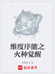 维度序能之火种觉醒在线阅读