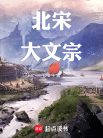 北宋大文宗封面