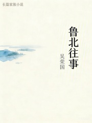 鲁北往事在线阅读