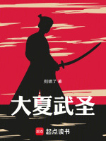 大夏武圣封面