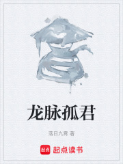 龙脉孤君在线阅读