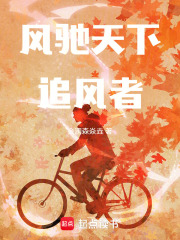 风驰天下：追风者在线阅读