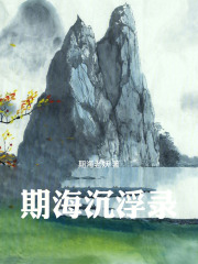 期海沉浮录在线阅读