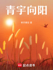 青宇向阳在线阅读