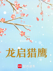 龙启猎鹰在线阅读