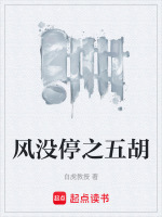风没停之五胡封面