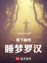 柳下秘传：睡梦罗汉在线阅读