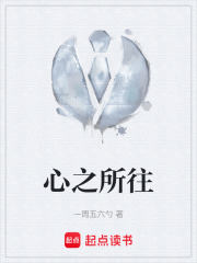 心之所往在线阅读