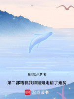 第二部糟糕我和姐姐走错了婚房最新章节在线阅读