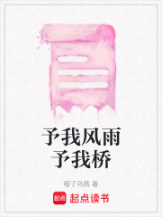予我风雨予我桥在线阅读