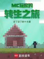 MC玩家的转生之旅在线阅读