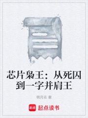 芯片枭王：从死囚到一字并肩王