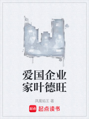 爱国企业家叶德旺在线阅读